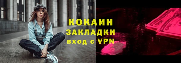 сатива Кукмор