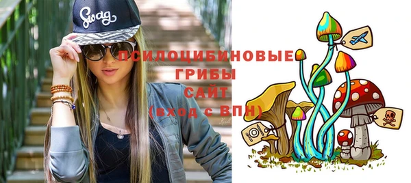 сатива Кукмор