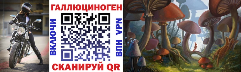 Псилоцибиновые грибы мицелий  Мончегорск 