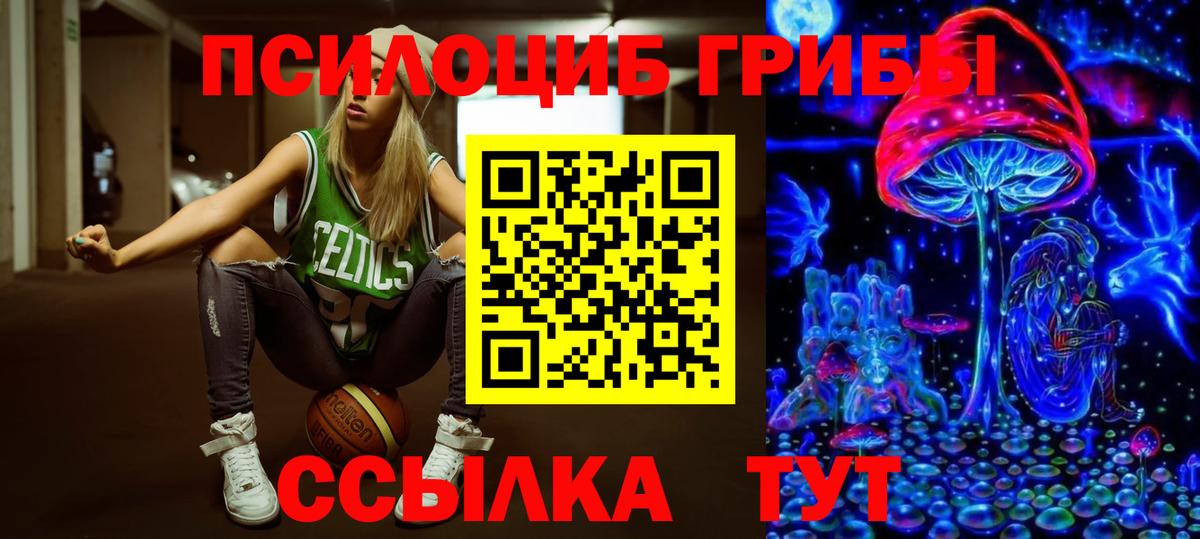 Галлюциногенные грибы Magic Shrooms Мончегорск